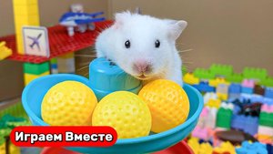 Хомяк на летающей тарелке попал в Лабиринт Рика и Морти ! Умный хомяк ! Видео для детей