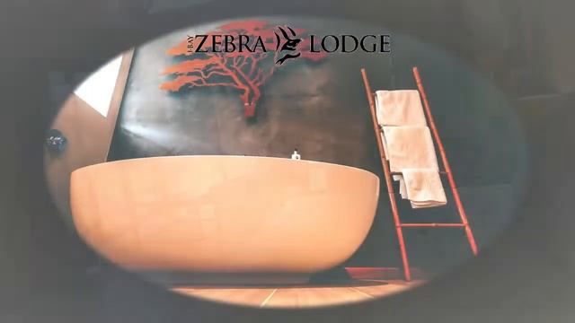 JBay Zebra Lodge A Special Occasion In Mind смотреть онлайн