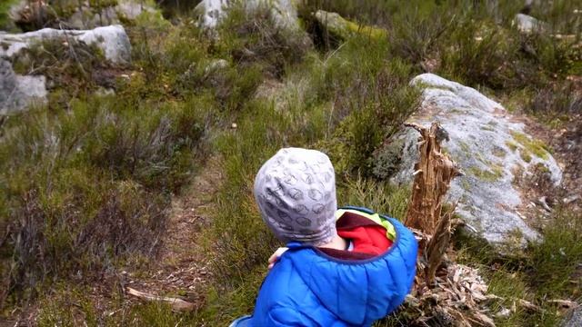 Kuckucksweiher 2023 Schwarzwald смотреть онлайн