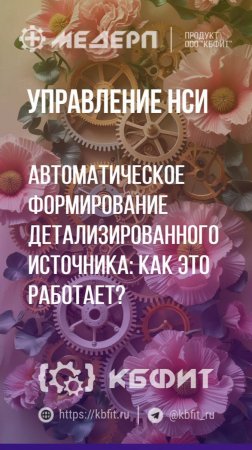 КБФИТ: МЕДЕРП. Управление НСИ: Автоматическое формирование детализированного источника Ч.1