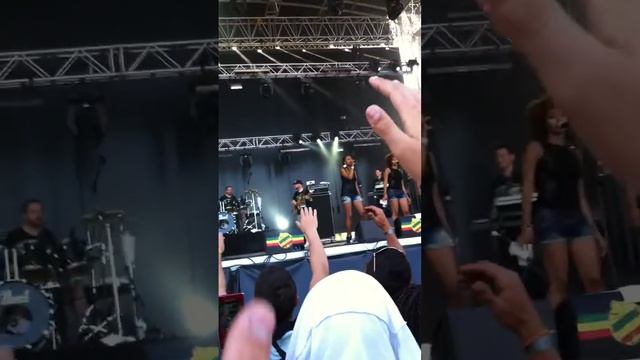 Taïro - No Woman No Cry / Une seule vie. Live at Reggae Sun Ska 2013 смотреть онлайн