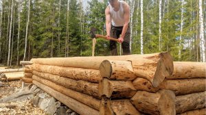 Строю хижину в лесу продолжение