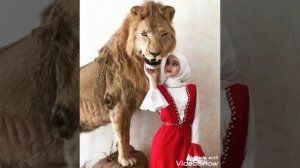 Чеченская новинка 2019. Мадина домбаева сан ваша. Чеченские песни 2019