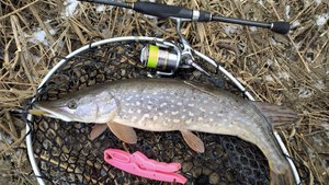 Микро-речка, 12 февраля 2025 года