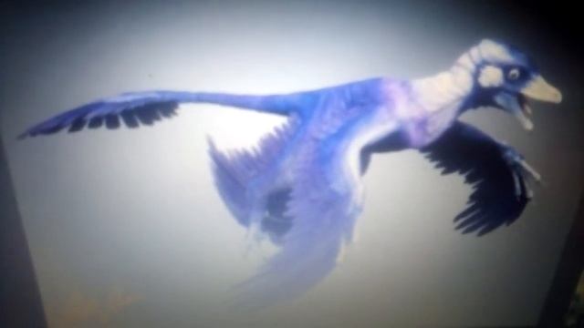 Настоящий цвет динозавров! смотреть онлайн