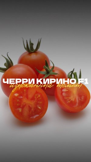 🍅 Томат ЧЕРРИ КИРИНО F1 – изысканность, заложенная природой!