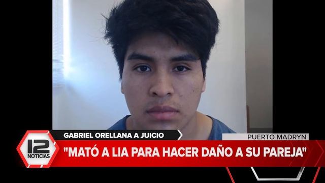 Crimen de Lía: Orellana imputado por femicidio, femicidio transversal y homicidio en ocasión de rob смотреть онлайн