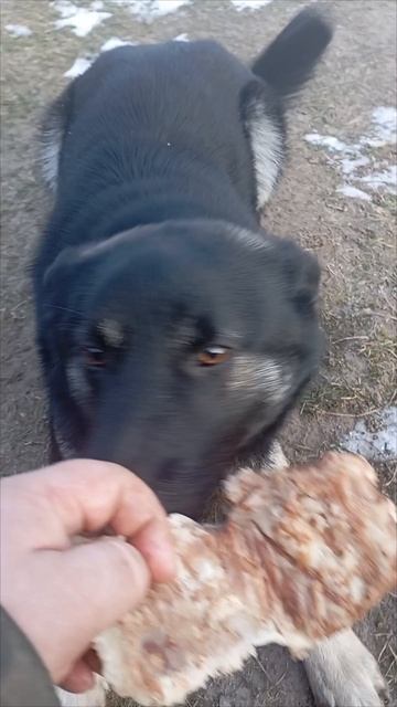 Мононельзя смотреть онлайн