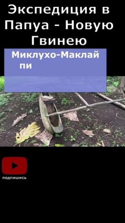 40. Каноэ или пироги припарковывают на побережье залива Астролябия