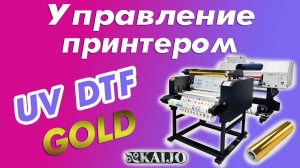 Управление принтером UV DTF GOLD KAIJO