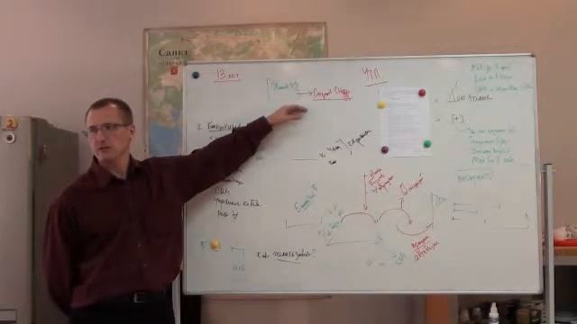 Анатолий Лебедев. Премиум маркетинг на результат. Урок 12 (13) смотреть онлайн