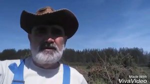 Посевная весна 2018