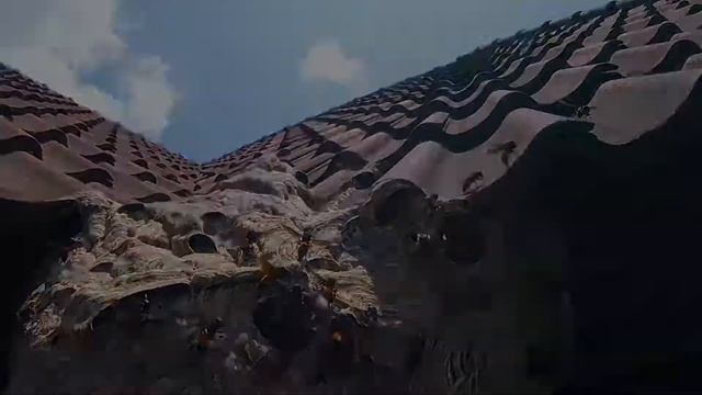 Vespa Hornet nest at the house смотреть онлайн