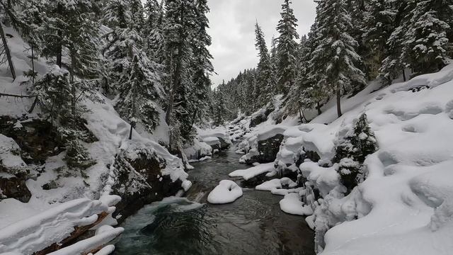 Cooper River Gorge in Winter - Flowing Fresh Water смотреть онлайн