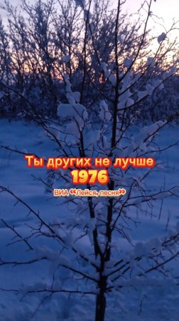 Ты других не лучше Владислав Андрианов, ВИА Лейся, песня, 1976.mp4