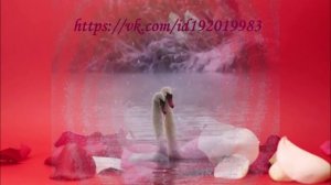 Сеанс в энергии Магическое Рейки Чувственной Страсти