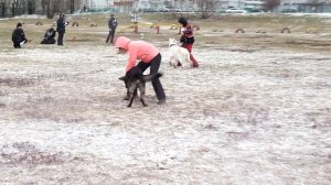 "Весёлые старты" на СДП "Орехово"