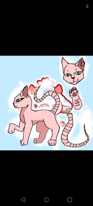 готовлюсь к выступлению в школе