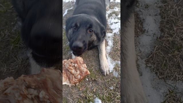 Вкусняшка смотреть онлайн