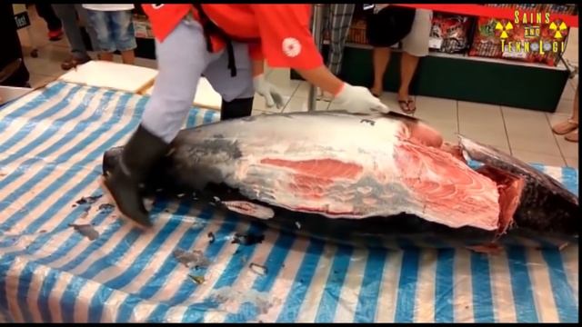 Skill Menakjubkan Memotong Ikan Tuna Besar Tercepat di Dunia смотреть онлайн