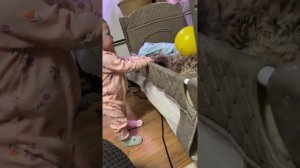 Сенсомоторное развитие