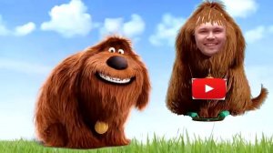 Мисс Кэти и Мистер Макс   Семья ПАЛЬЧИКОВ   Бен и Холи, Тайная жизнь домашних животных