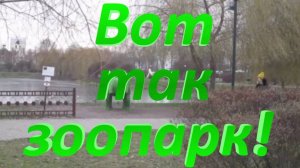 Вот так зоопарк! (Гомель)