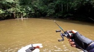 HAMPALA TOP WATER - RAPALA BX SKITTER FROG