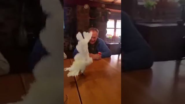 Когда услышал деспасито😂😂😂😂😂😂😂😂😂😂😂