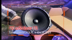 Убийцы апокалипсисов! За меньшие деньги. FSD audio Master 170