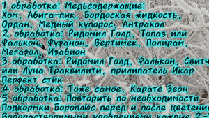 Подготовка к новому виноградному сезону - приобретение препаратов и удобрений