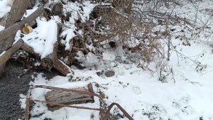 Февраль, родник и мысли из деревни...