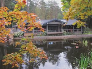 Гостевой дом и баня на берегу пруда! Сказочный проект!