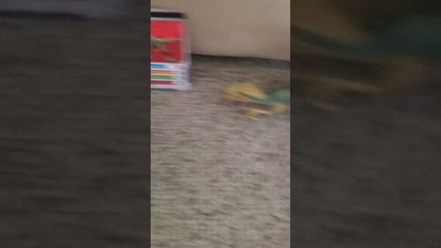 Looking at the velociraptor echo toy смотреть онлайн