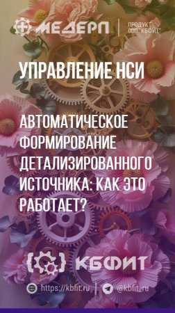 КБФИТ: МЕДЕРП. Управление НСИ: Автоматическое формирование детализированного источника Ч.3