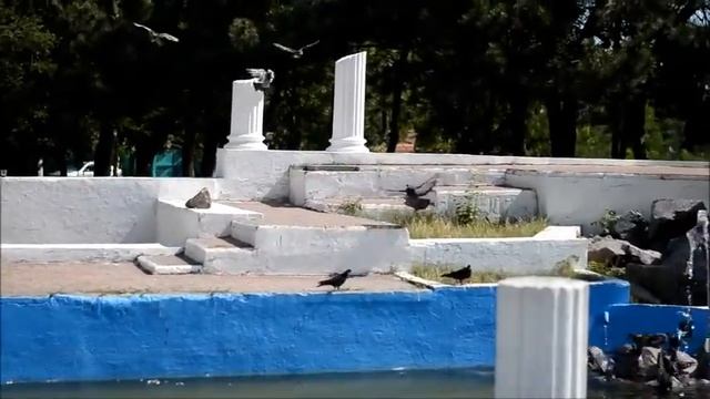 Куры смотреть онлайн