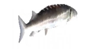 drql4 лимонные девочки 2.0