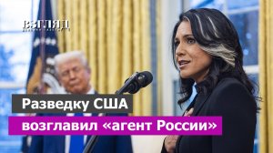 Революция в США. Трамп прет, как танк. Тулси Габбард возглавила разведку. Возможно все