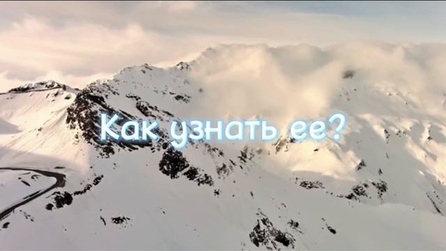 образовательный видеоролик
