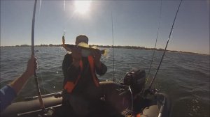 Ловля судака в море. Троллинг.