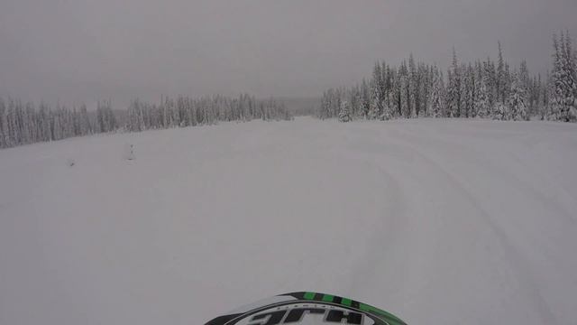 Over the hood all day - 2014 Arctic cat 800