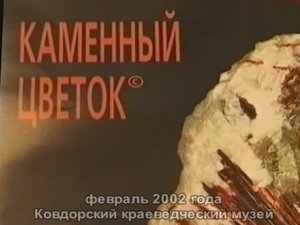 2002 - Каменный цветок
