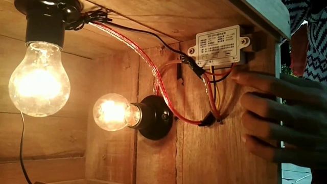 Biarkan Induk Ayam Hanya Bertelur | Kita Mulai Bisnis Mesin Penetasan Telur смотреть онлайн