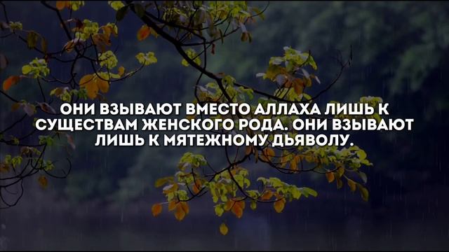 Ридван аш-Шишани. Сура 4 Ан-Ниса аяты 106-127 смотреть онлайн
