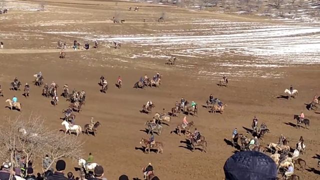 Буз каши муминобод смотреть онлайн