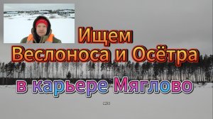 Ищем Веслоноса и Осётра в карьере Мяглово