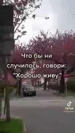 Мудрые советы от Бога