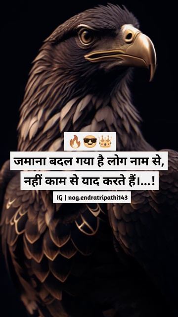 #eagle #birds #bird #nature#wildlife #eagles #birdsofinstagram #baldeagle#birdsofprey #youtubeshort