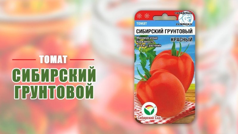 Томат Сибирский грунтовый красный