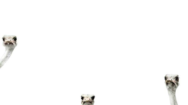 Chill pill ~ The very best of chill music (chillwave, indie, alternative...) смотреть онлайн